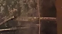 Kahramanmaraş’ta boya kaza